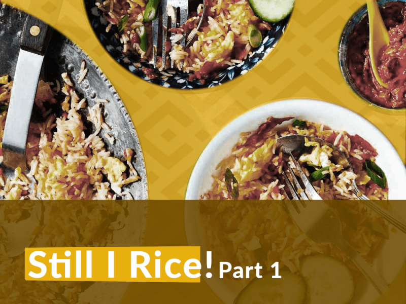 Origins: The History of Rice in American Culture